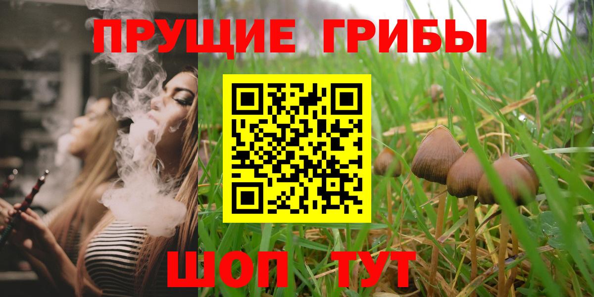 Тосно  Галлюциногенные грибы GOLDEN TEACHER  Вход с VPN 