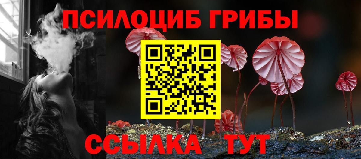 Галлюциногенные грибы ЛСД Тосно